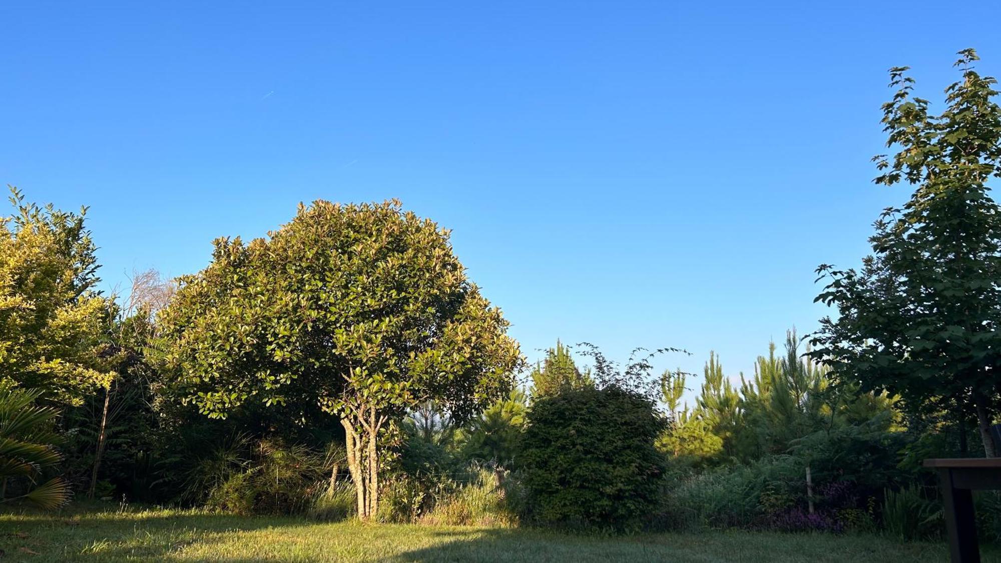 Jolie Maison De Vacances Avec Terrasse Et Jardin Saint-Julien-en-Born Exteriér fotografie